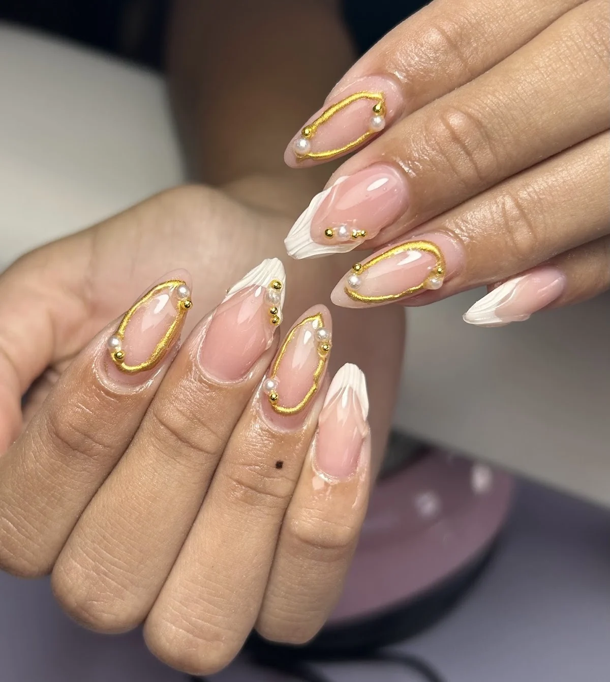 Aninails - 2