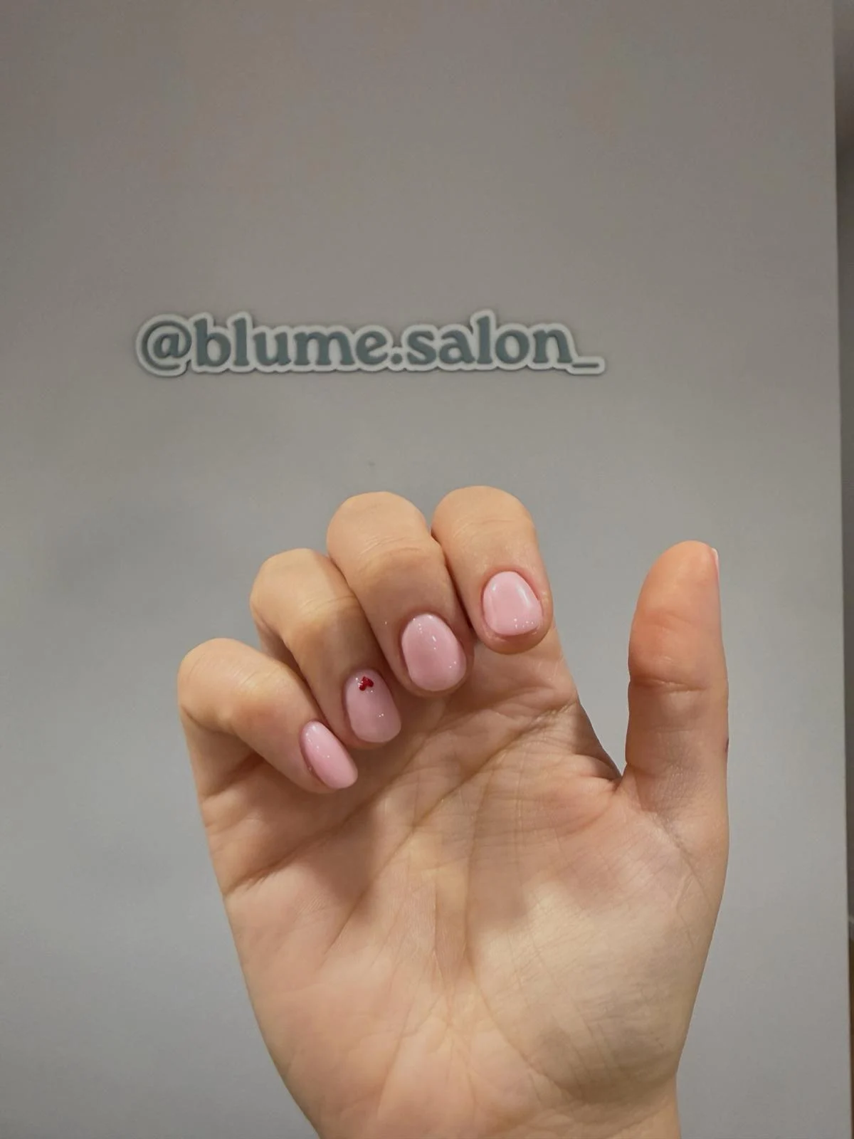 Blume Salón - 5