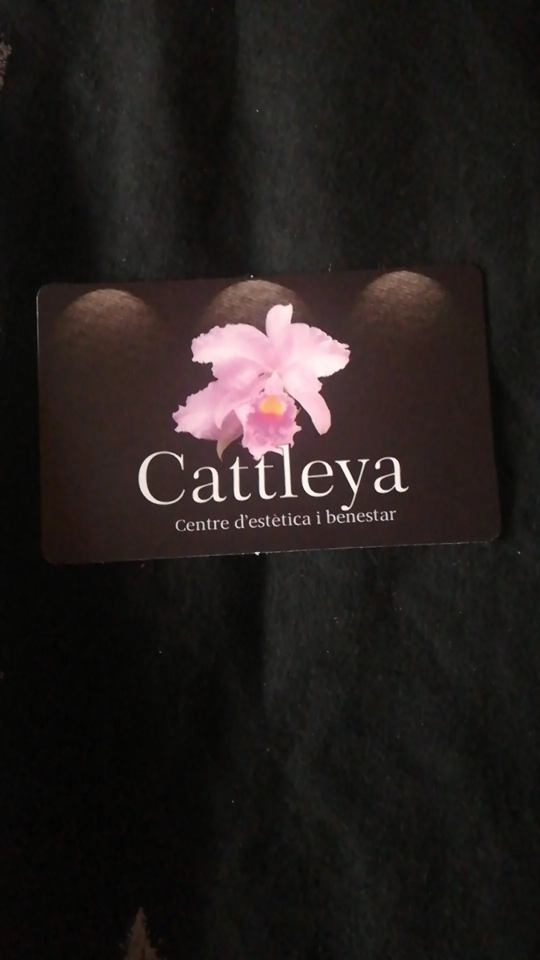 Cattleya
