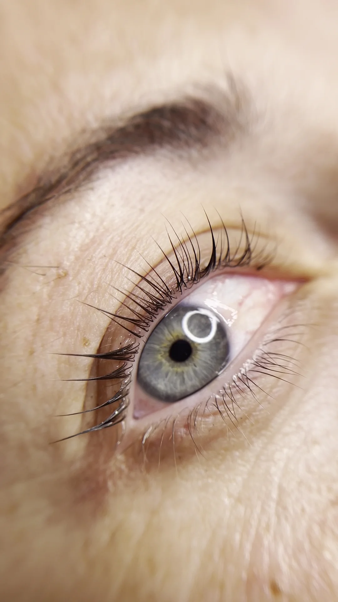 Maju Bravo Beauty Studio - Micropigmentación y Sombreado de cejas - 2