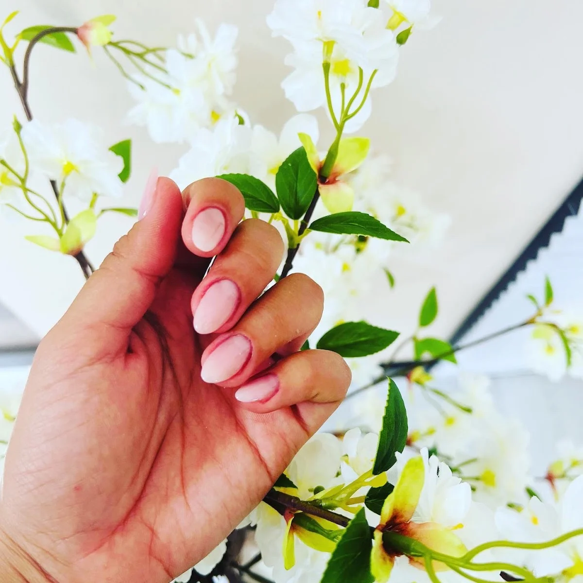 Nails Bellatriz