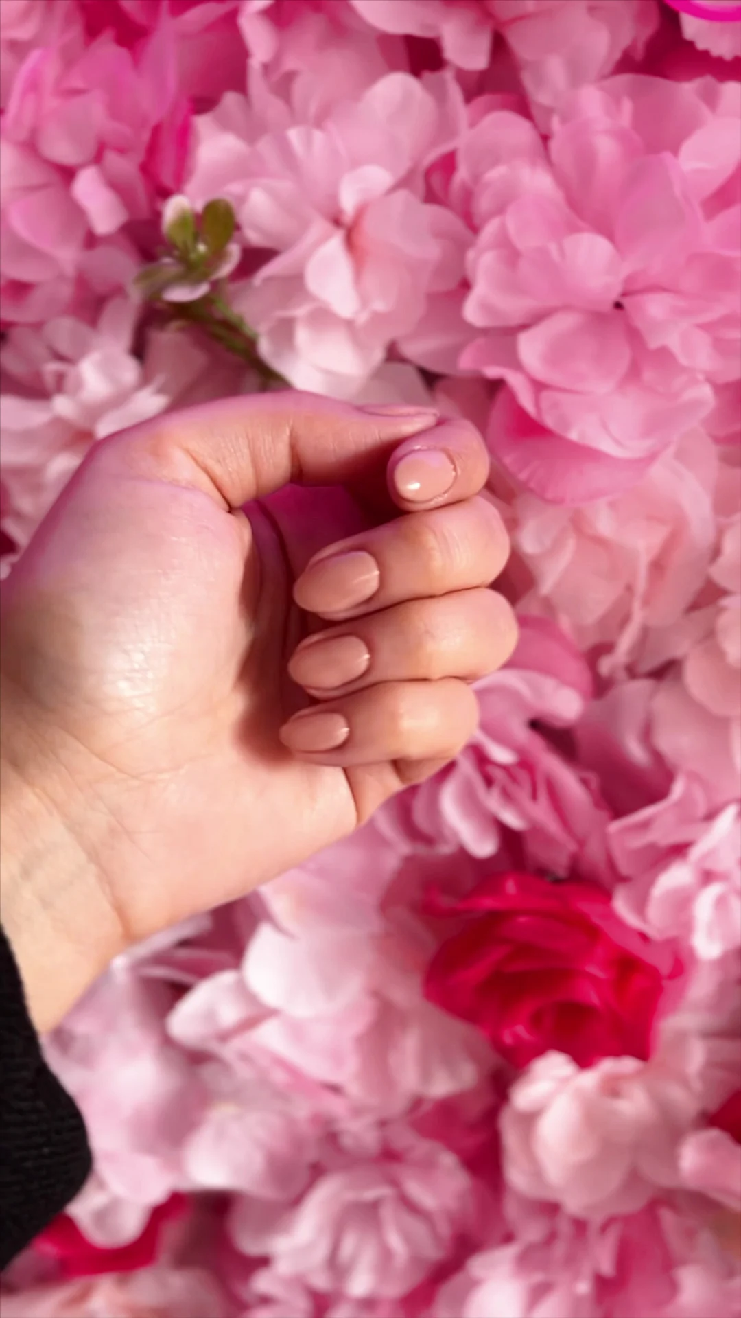 PAWIL NAILS - 2
