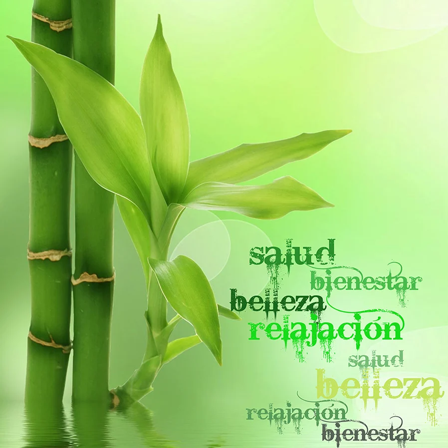 Salud y Belleza - Eden